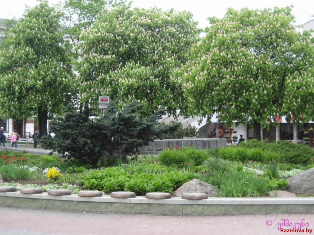 у свіслач глядзіцца менск - мой любімы горад...