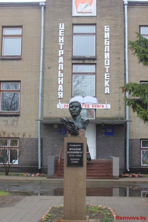 Раённая бібліятэка ў Лунінцы